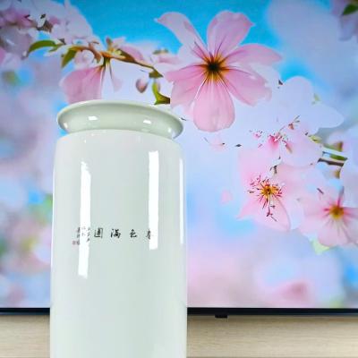 BÌNH DÁNG TRỤ MEN NGỌC - XUÂN SẮC MÃN VIÊN